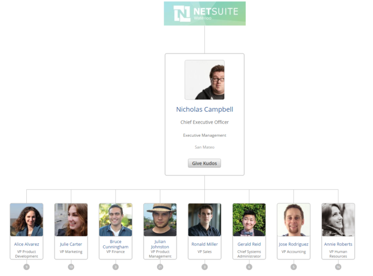 netsuite-tips-and-tricks-directories-and-organisational-charts